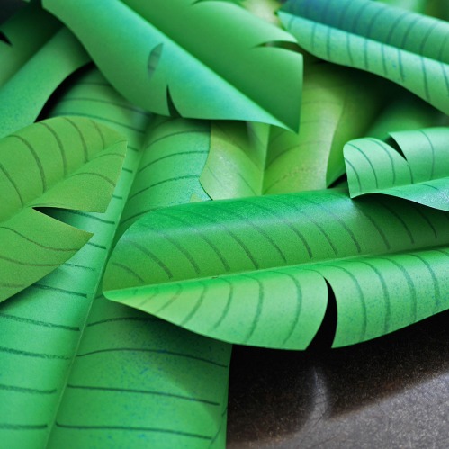 paper banana leaves, green screen paper